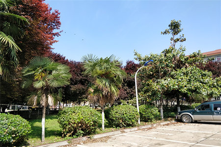 绿宸凤栖华府怎么样?